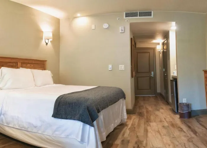 Driftwood Lodge